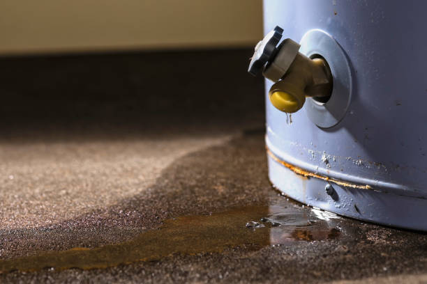 Best Emergency water damage restoration  in Mount Plymouth, FL