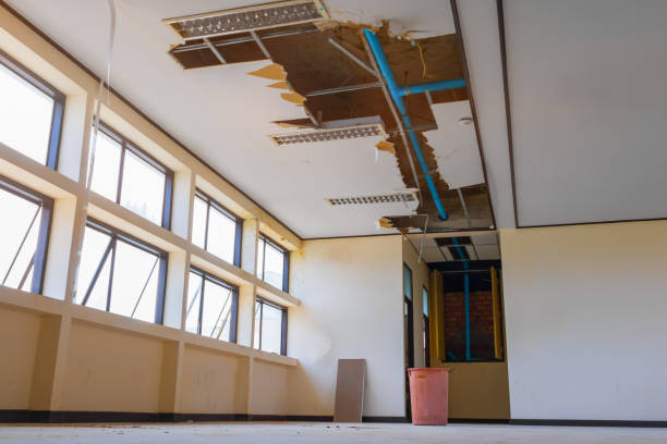 Best Water damage cleanup near me  in Mount Plymouth, FL