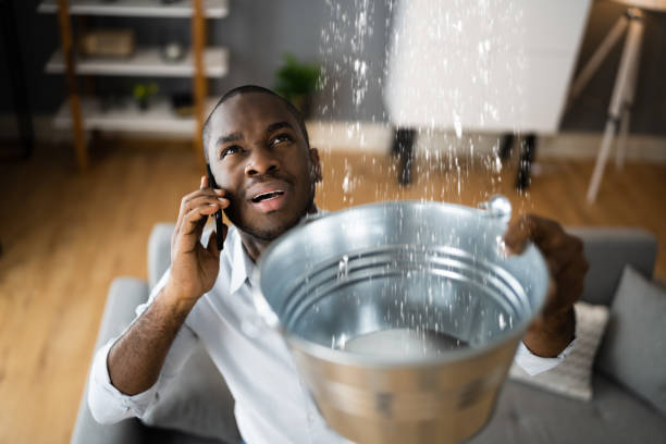 Best Water damage restoration near me  in Mount Plymouth, FL