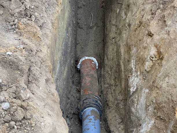 Best Flood damage cleanup  in Mount Plymouth, FL