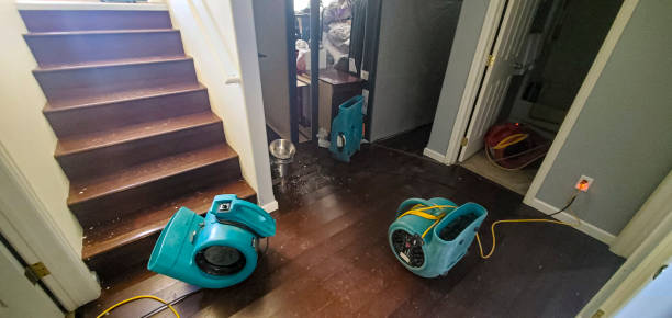 Best Flooded house restoration  in Mount Plymouth, FL