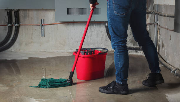 Best Water damage restoration near me  in Mount Plymouth, FL