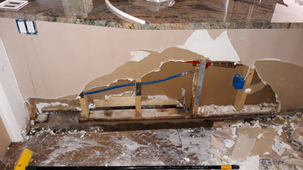 Best Water damage restoration experts  in Mount Plymouth, FL
