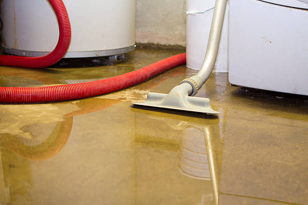 Best Local water damage restoration  in Mount Plymouth, FL