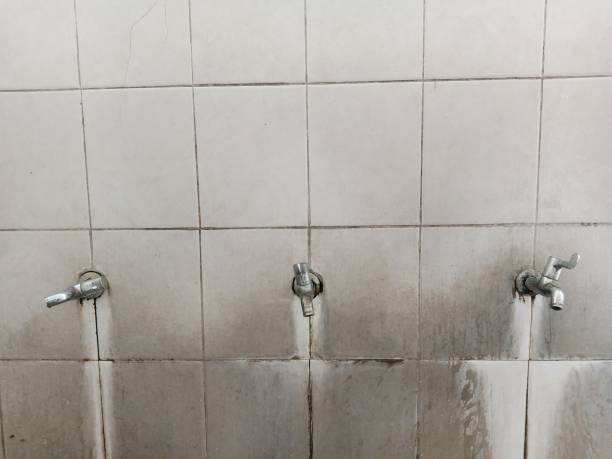 Best 24/7 water damage repair  in Mount Plymouth, FL